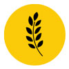 Allergen A